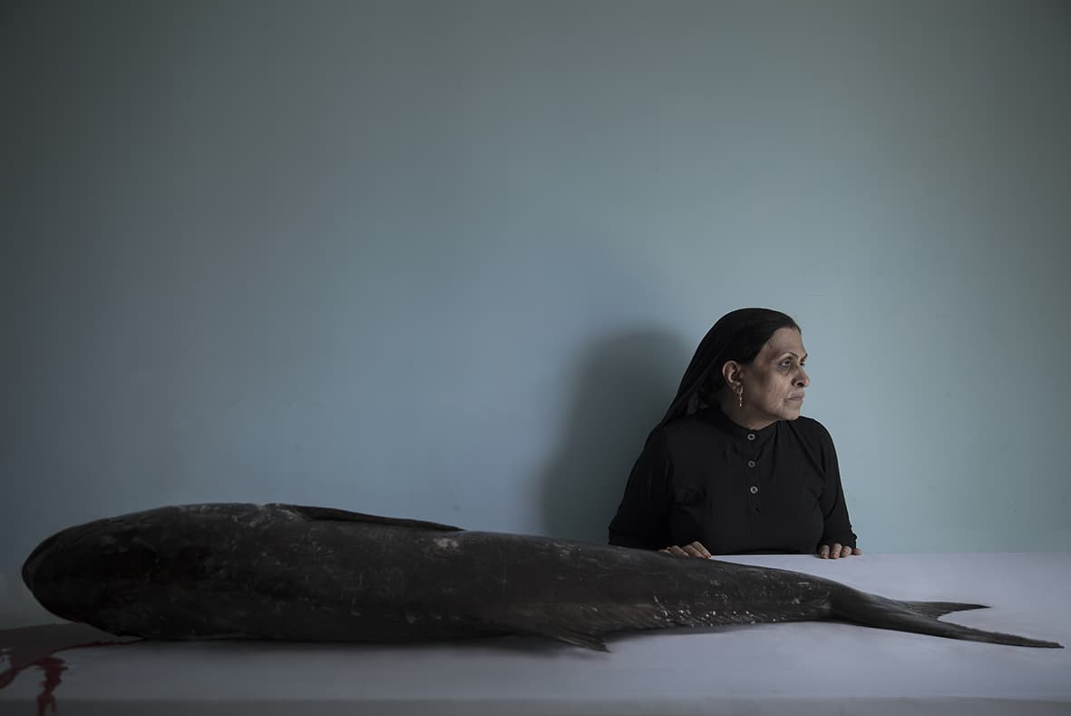 Untitled, Morteza Niknahad