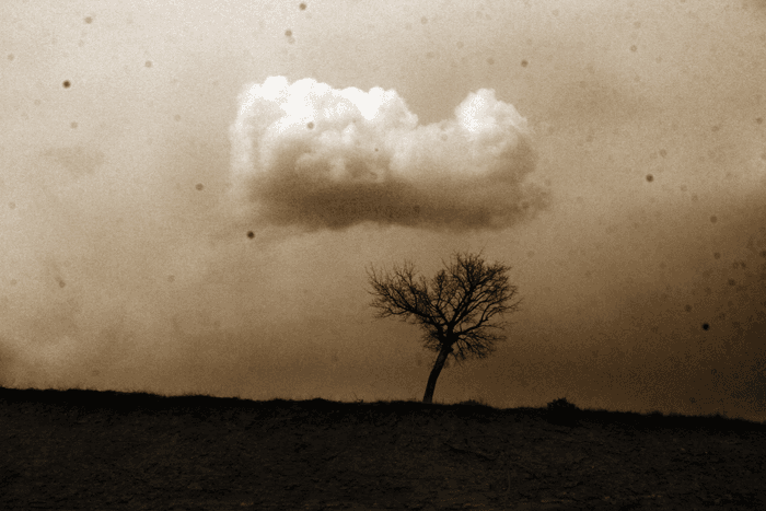 Untitled, Babak Kazemi