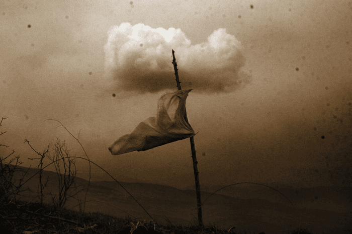 Untitled, Babak Kazemi
