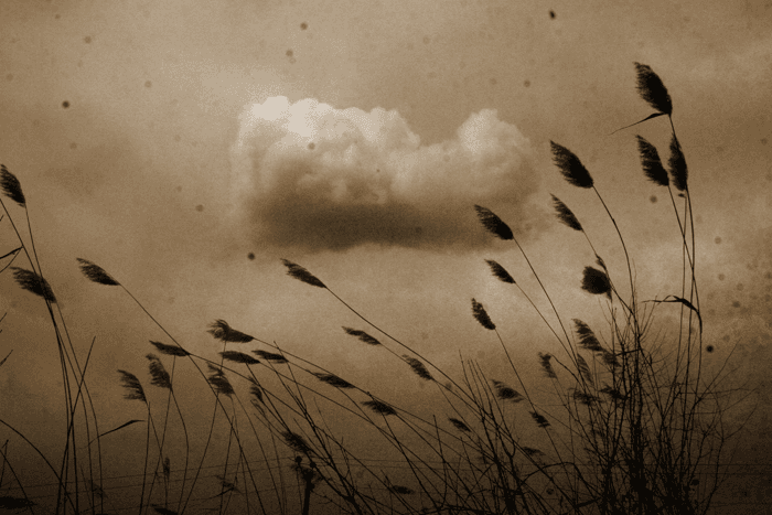 Untitled, Babak Kazemi