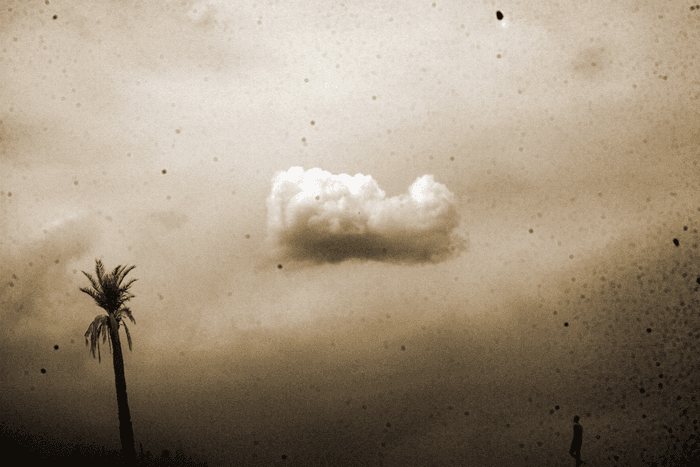 Untitled, Babak Kazemi