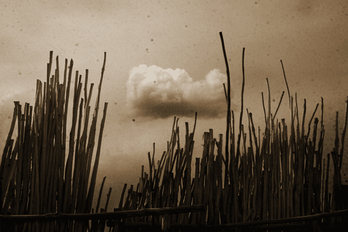 Untitled, Babak Kazemi