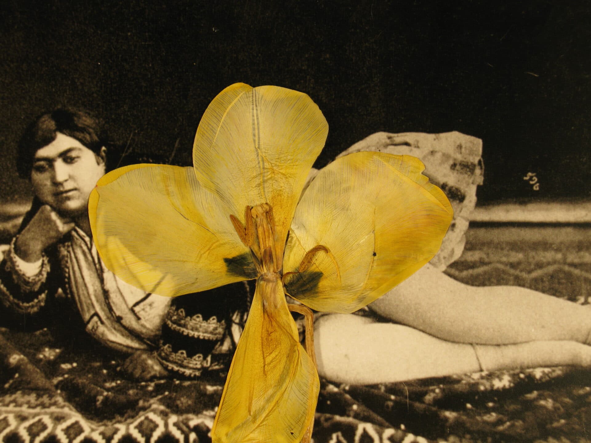 Untitled, Bahman Jalali