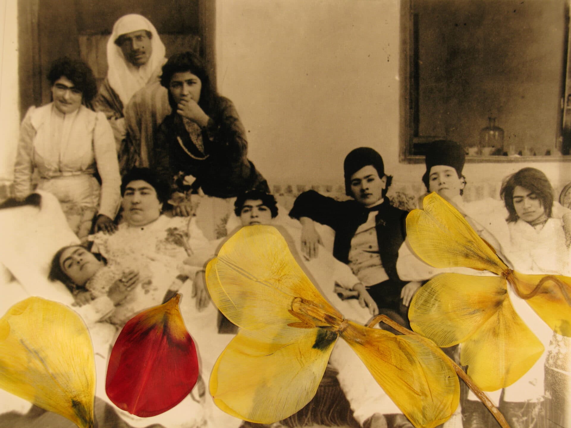 Untitled, Bahman Jalali