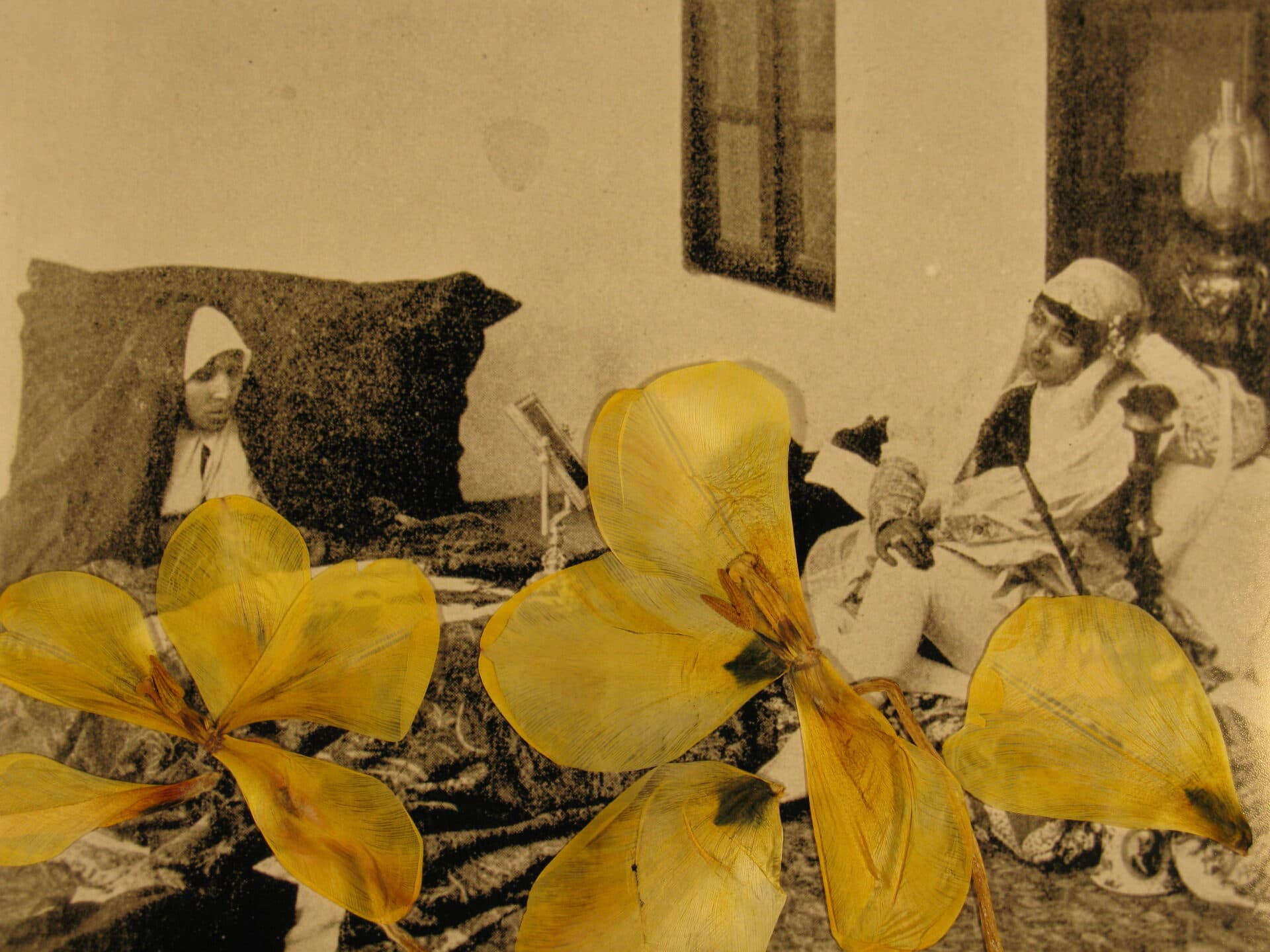Untitled, Bahman Jalali