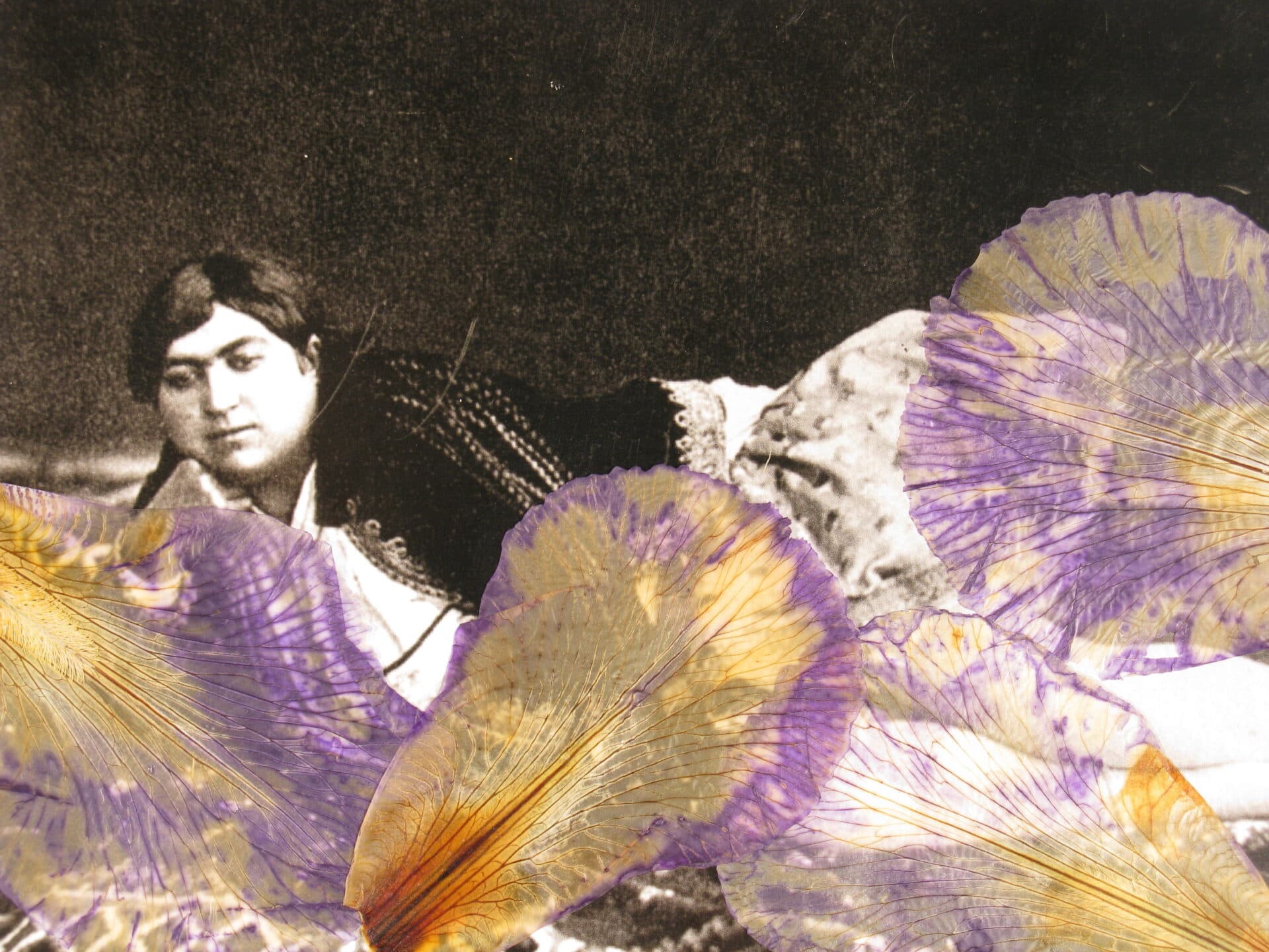 Untitled, Bahman Jalali