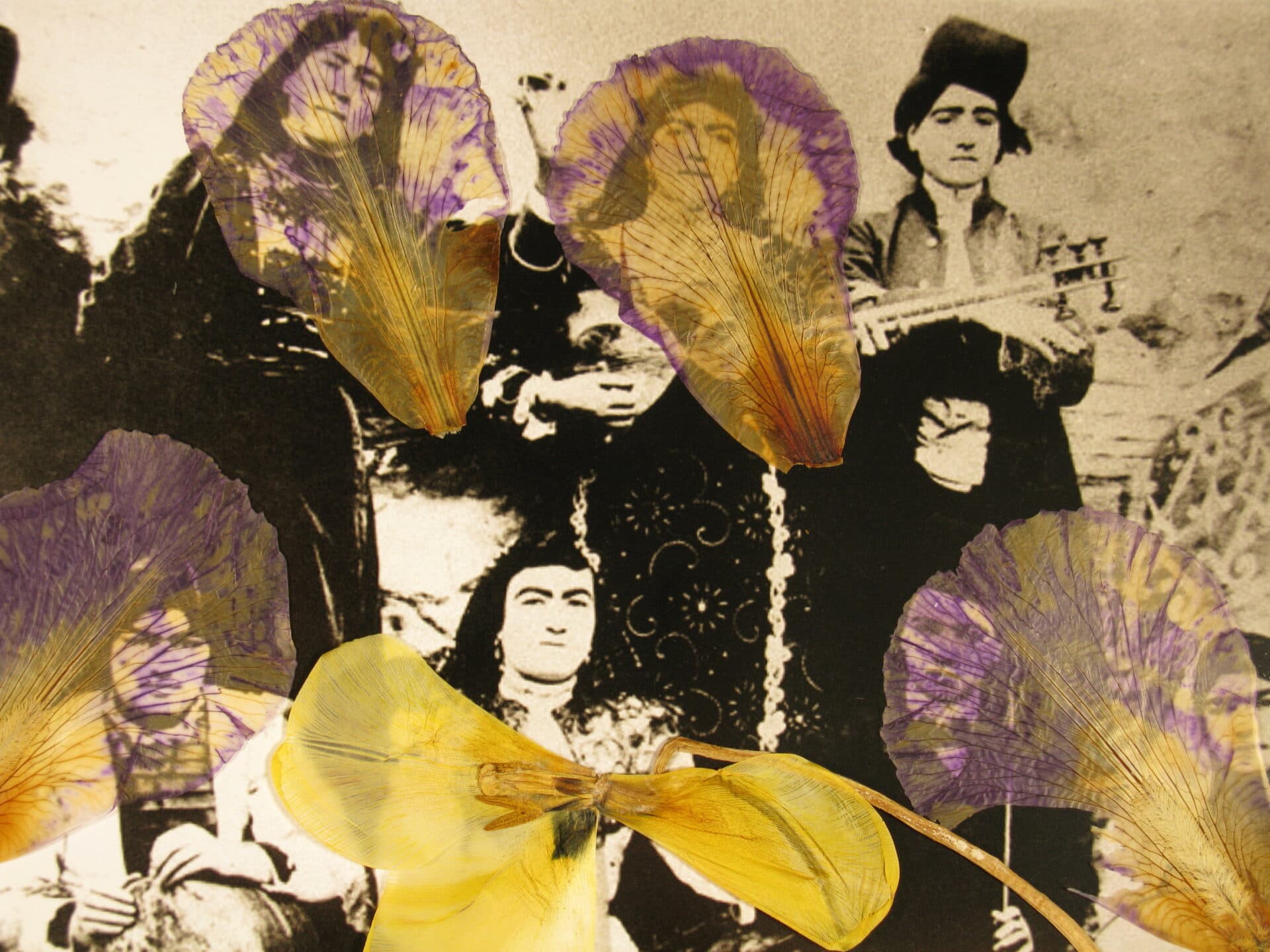 Untitled, Bahman Jalali