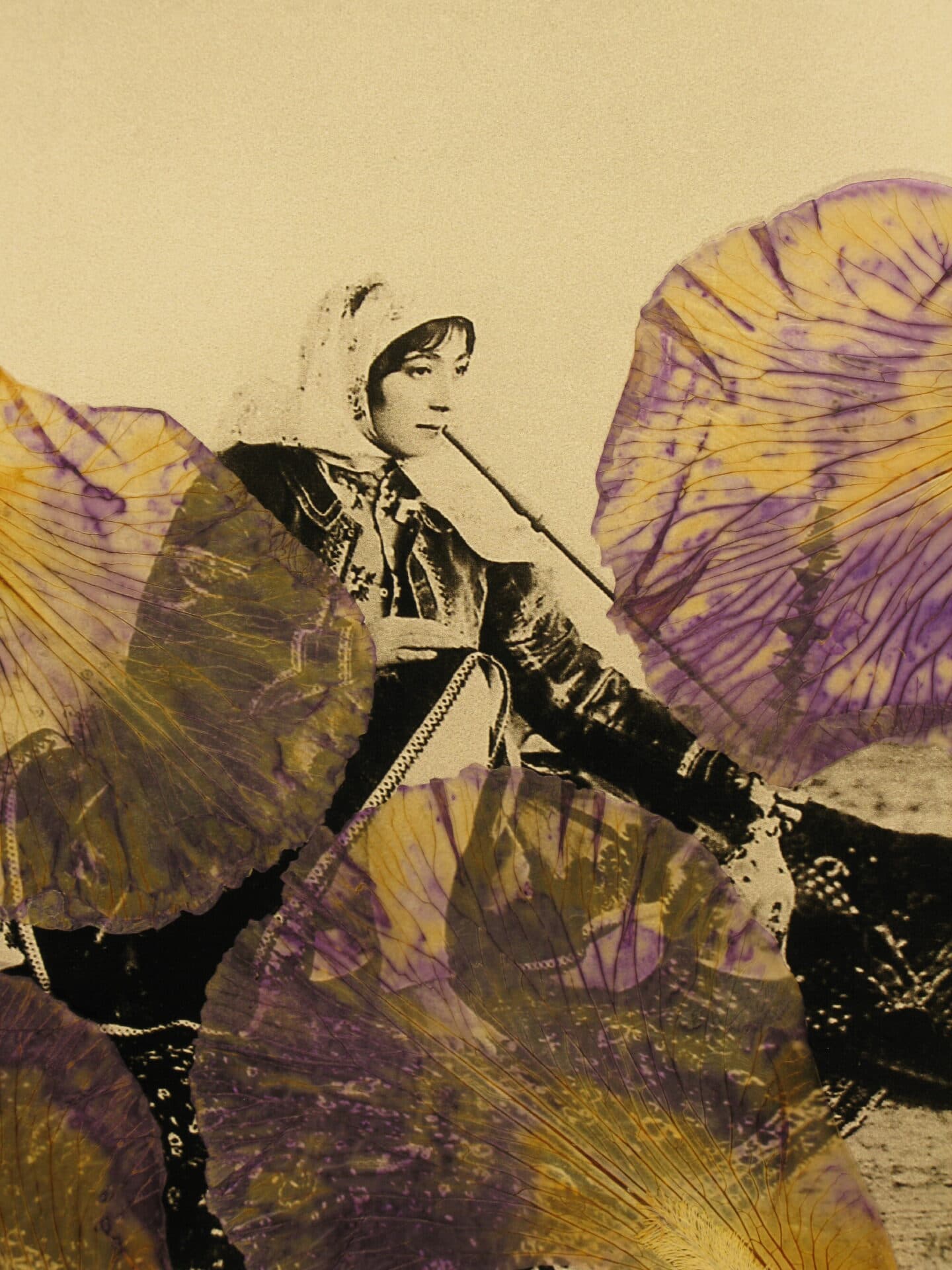 Untitled, Bahman Jalali