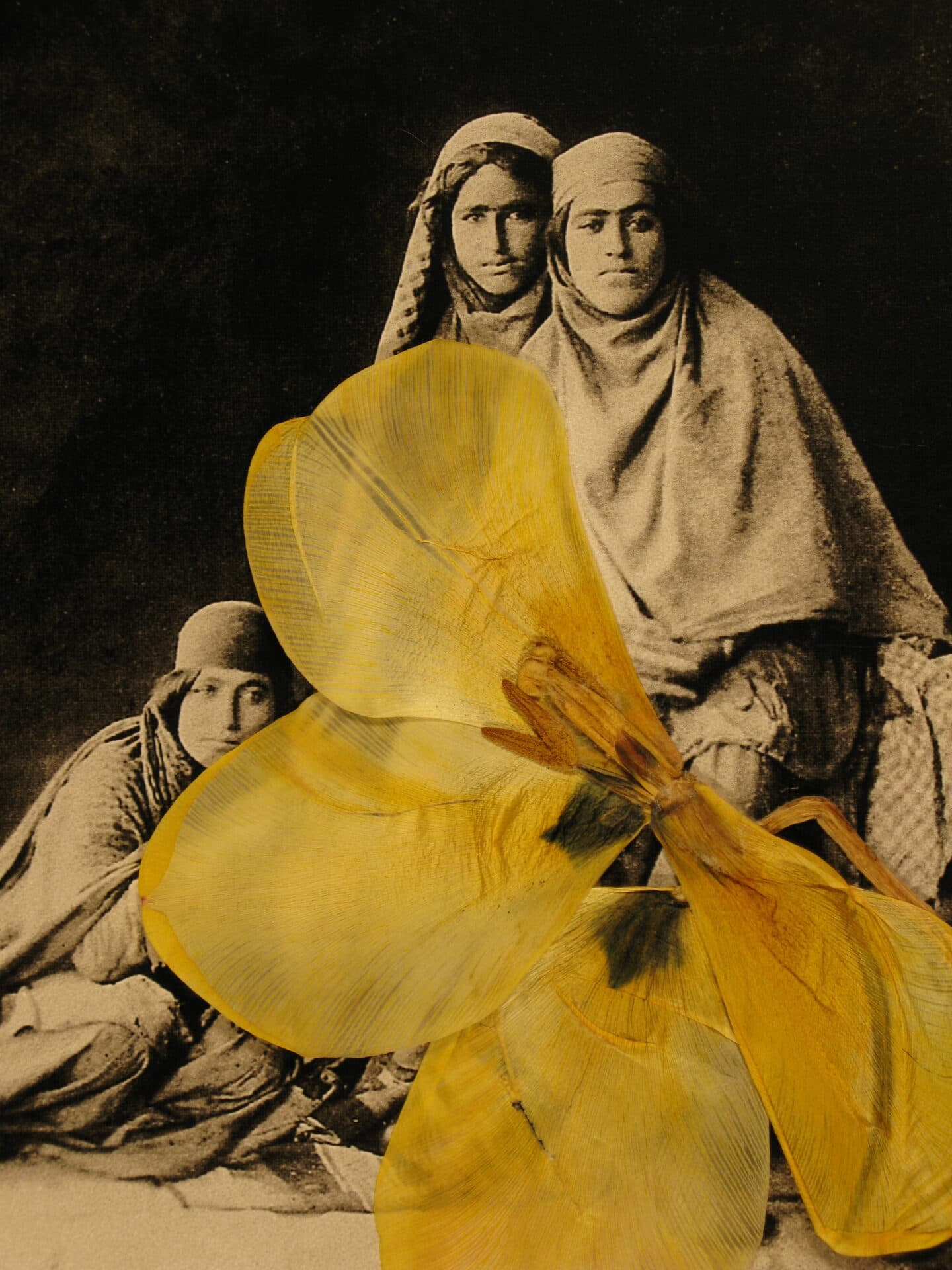 Untitled, Bahman Jalali