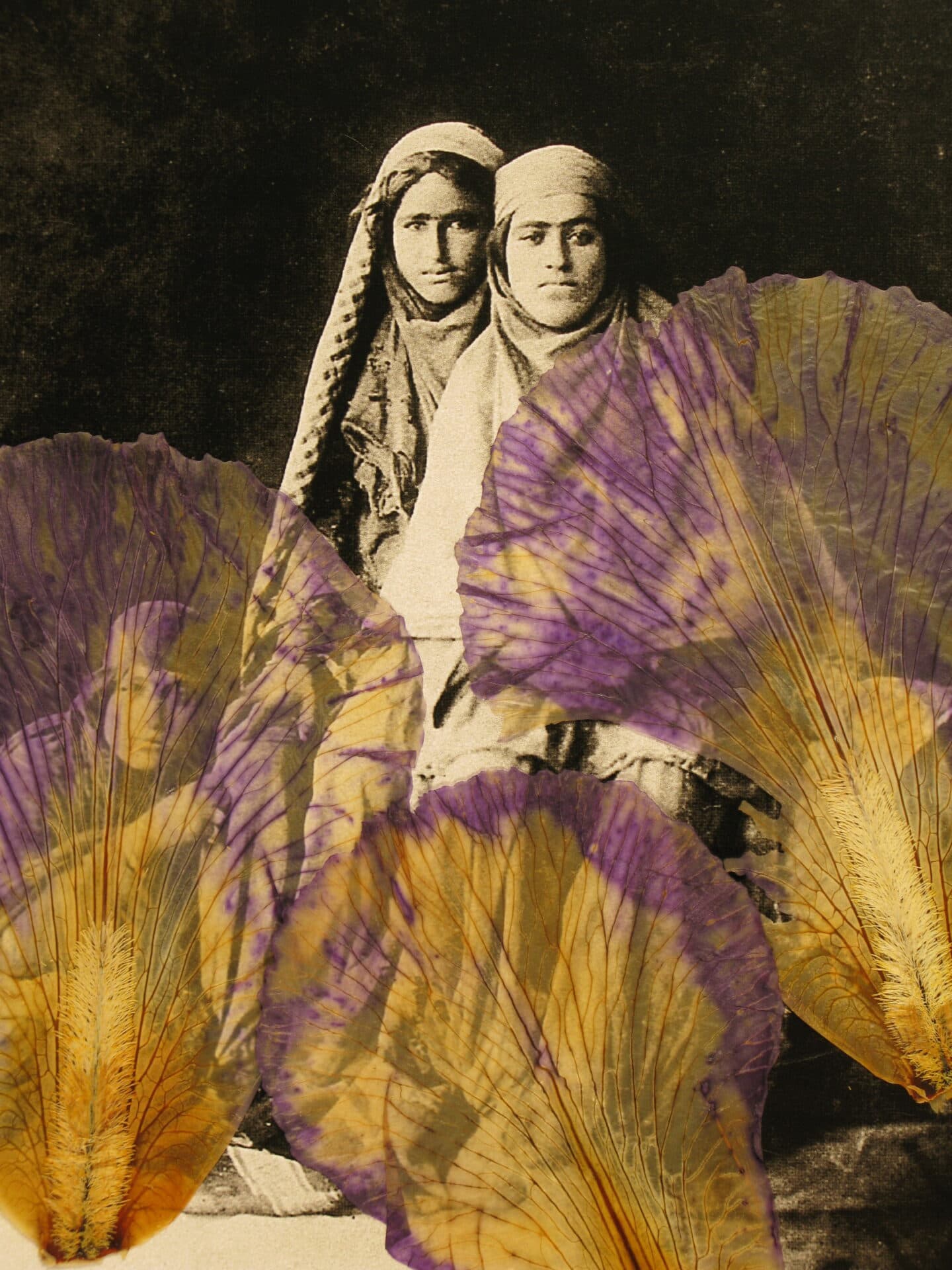 Untitled, Bahman Jalali