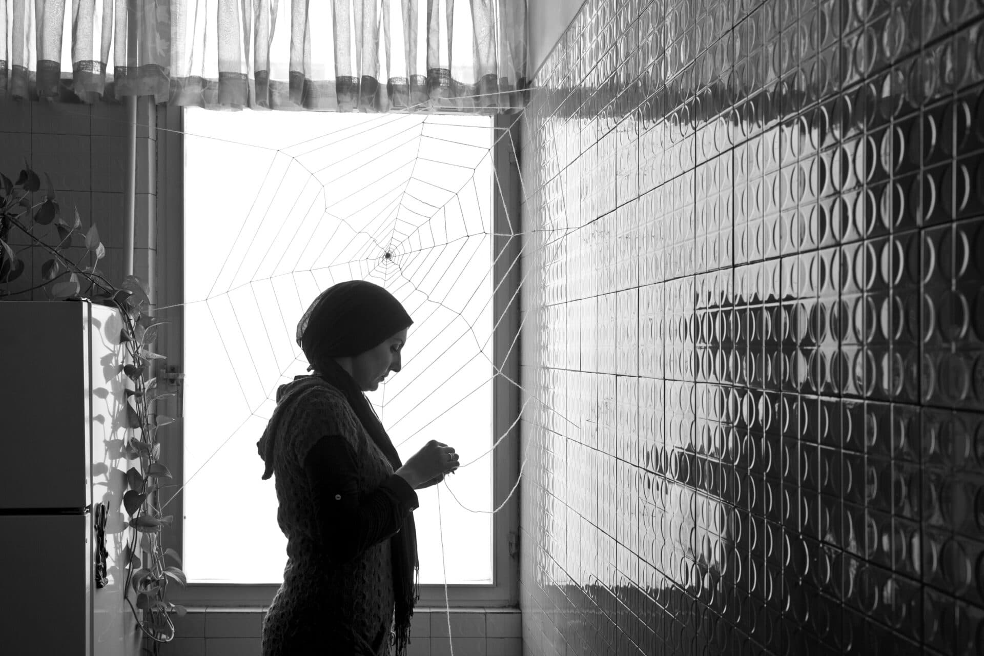 Untitled, Shadi Ghadirian