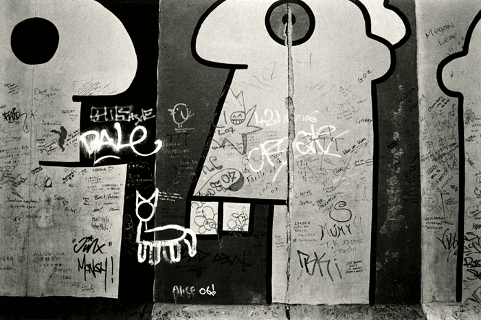 Untitled, Arash Fayez