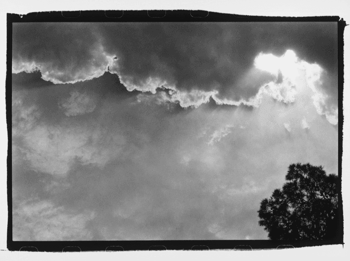 Untitled, Arash Fayez