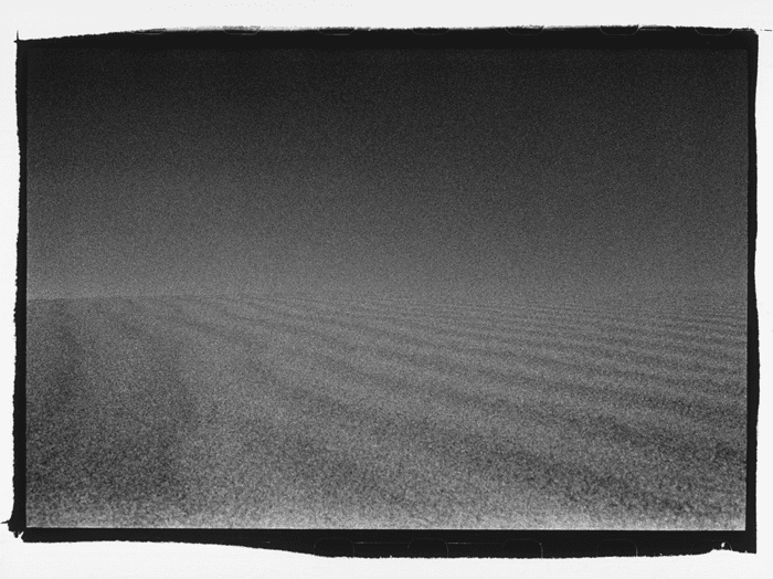 Untitled, Arash Fayez