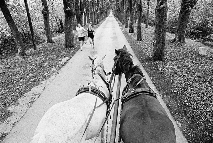 Untitled, Mohsen Rastani