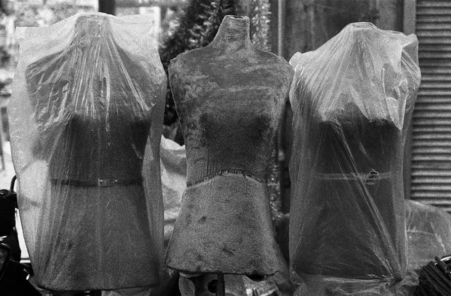 Untitled, Tahmineh Monzavi