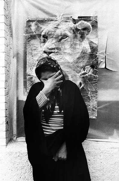 Untitled, Tahmineh Monzavi