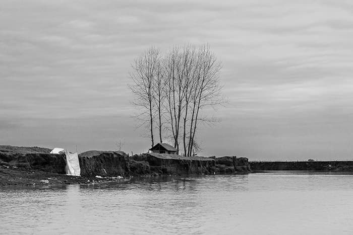 Untitled, Mehdi Vosoughnia