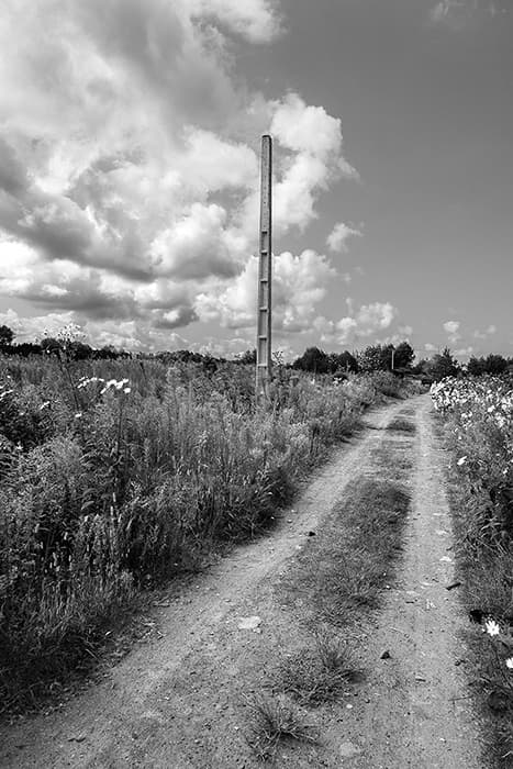 Untitled, Mehdi Vosoughnia