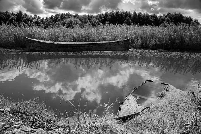 Untitled, Mehdi Vosoughnia