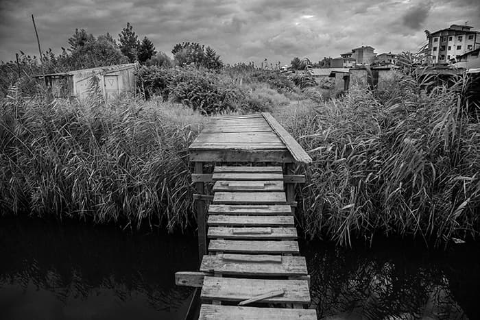 Untitled, Mehdi Vosoughnia