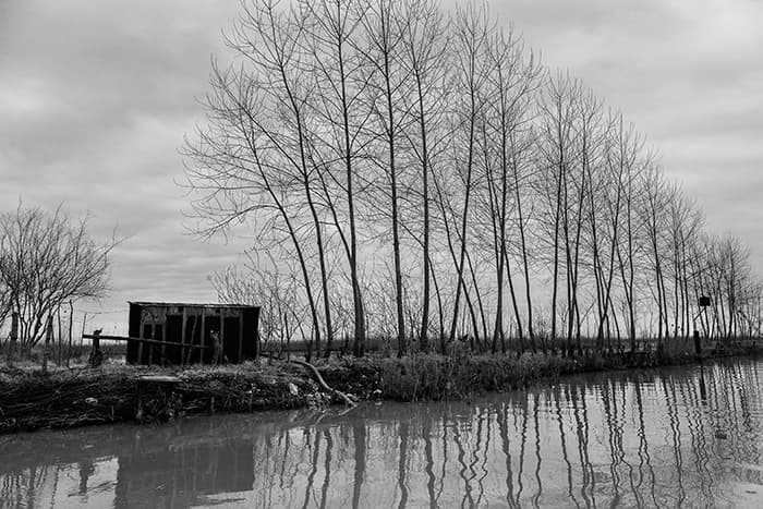 Untitled, Mehdi Vosoughnia