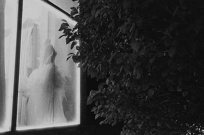 Untitled, Tahmineh Monzavi