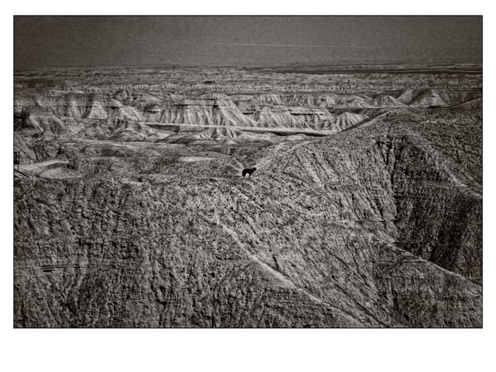Untitled, Babak Kazemi