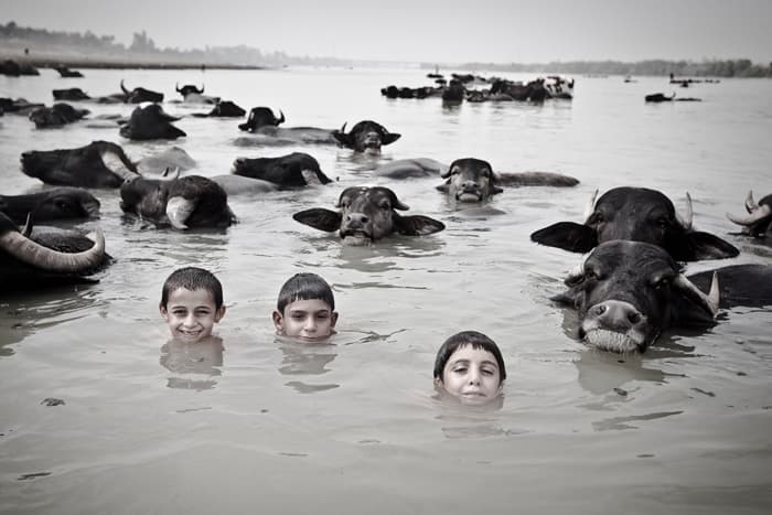 Untitled, Mohammadreza Soltani