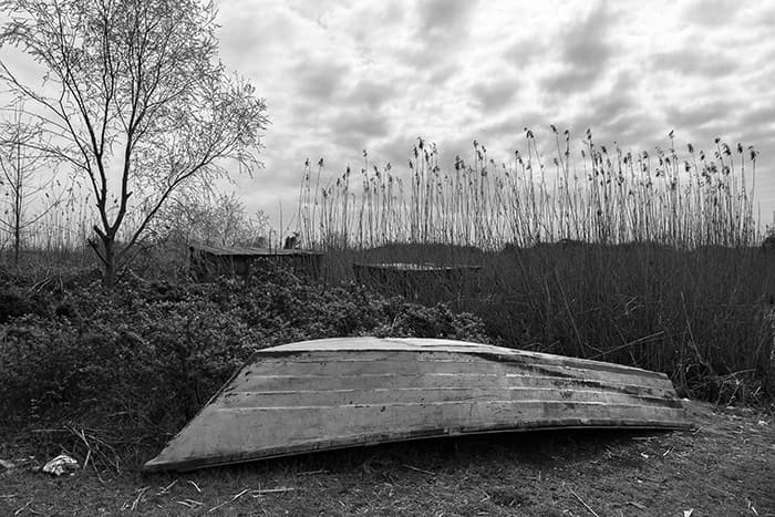 Untitled, Mehdi Vosoughnia