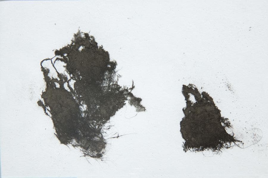 Untitled, Katayoun Karami