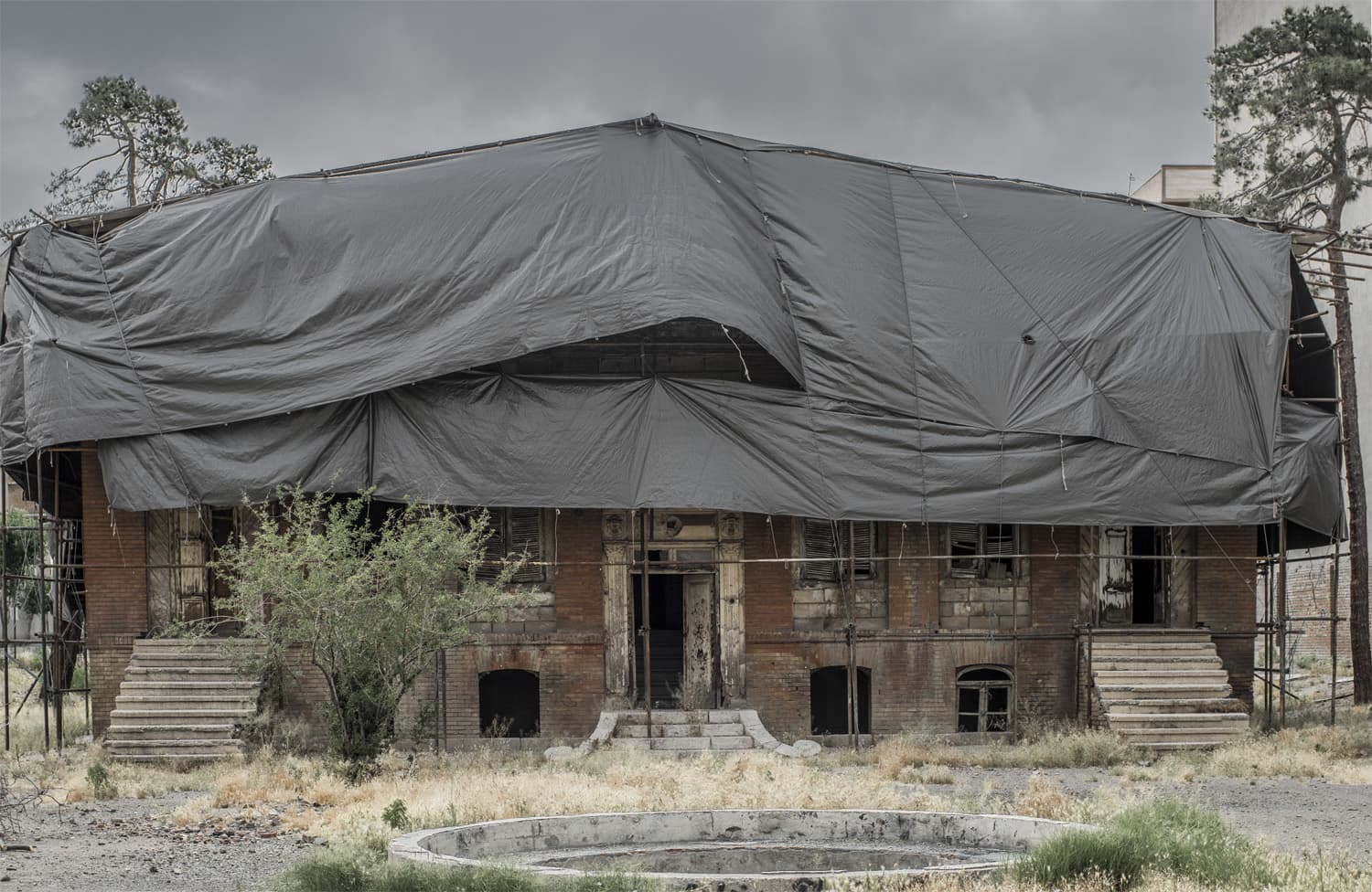 Untitled, Tahmineh Monzavi