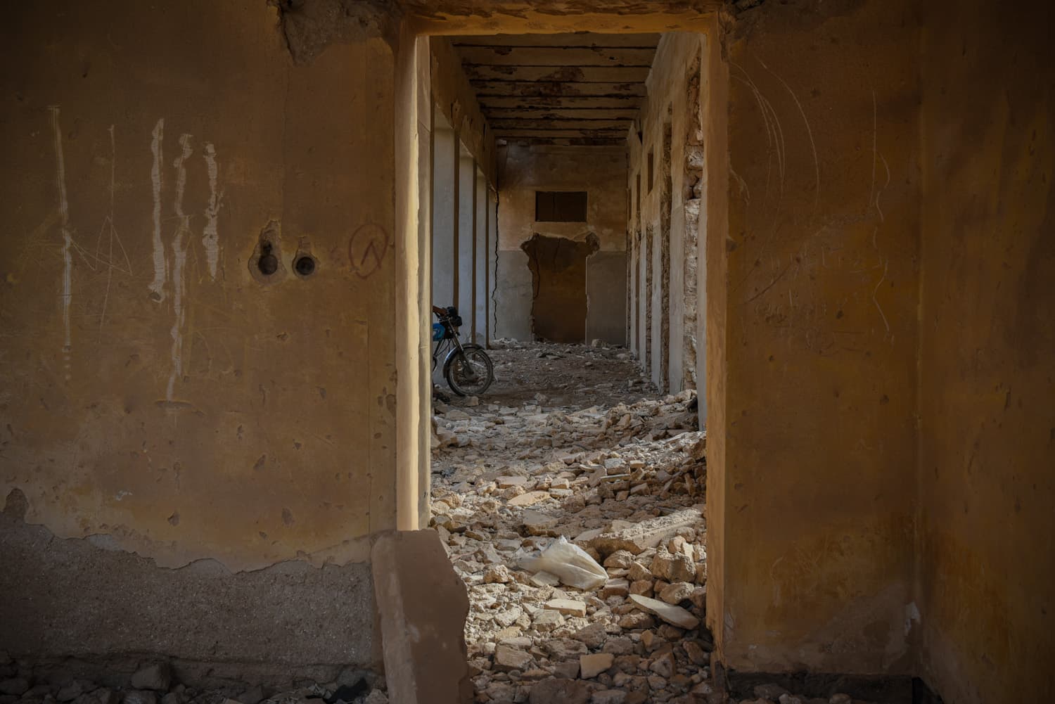 Untitled, Tahmineh Monzavi