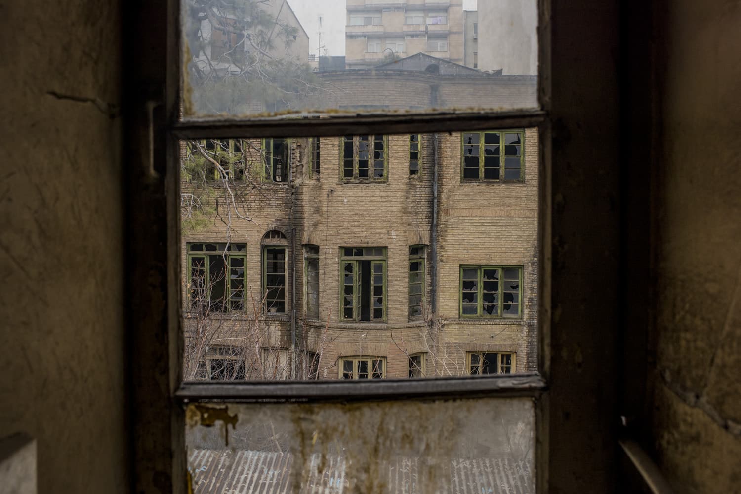 Untitled, Tahmineh Monzavi