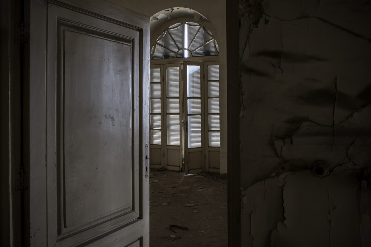 Untitled, Tahmineh Monzavi