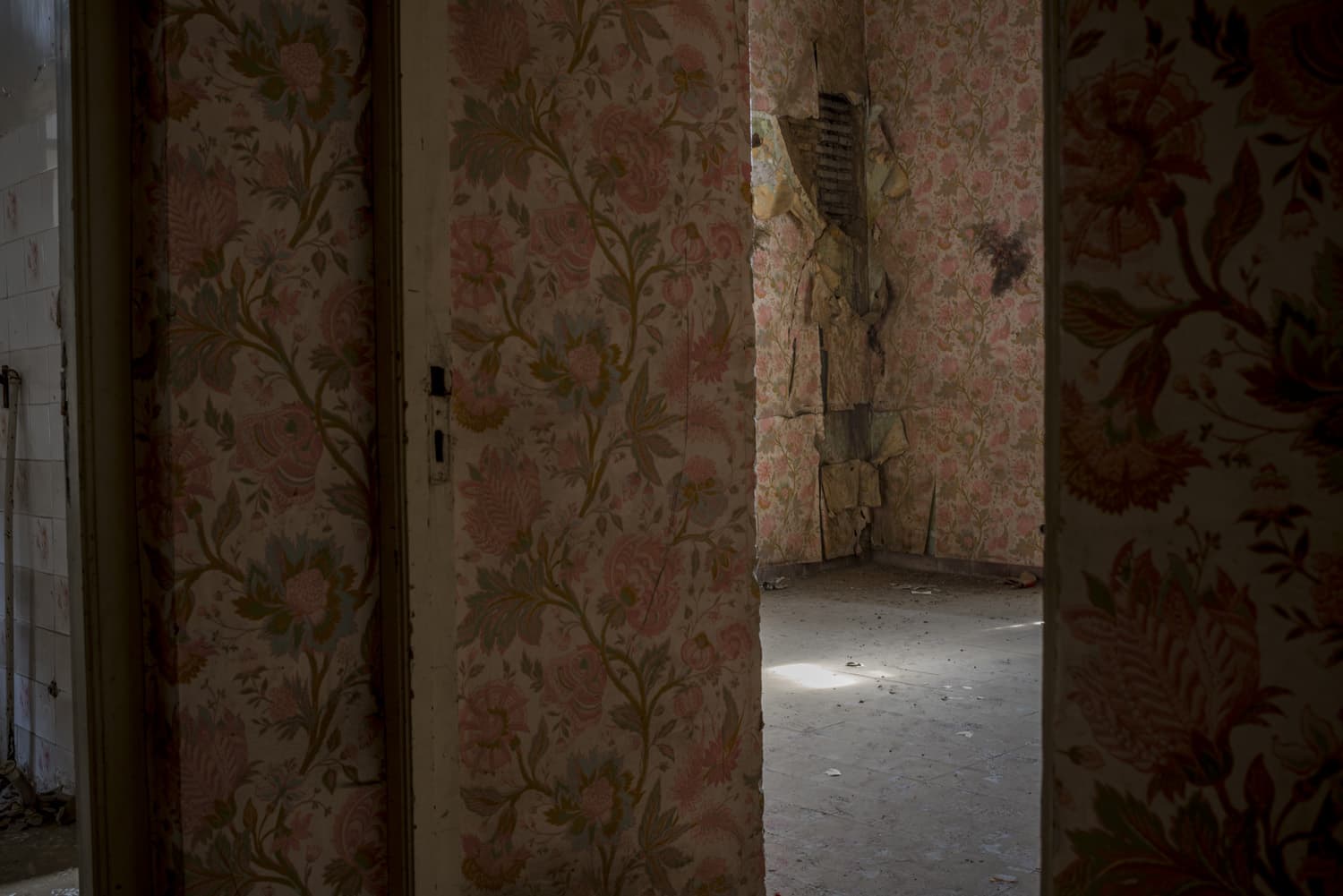 Untitled, Tahmineh Monzavi