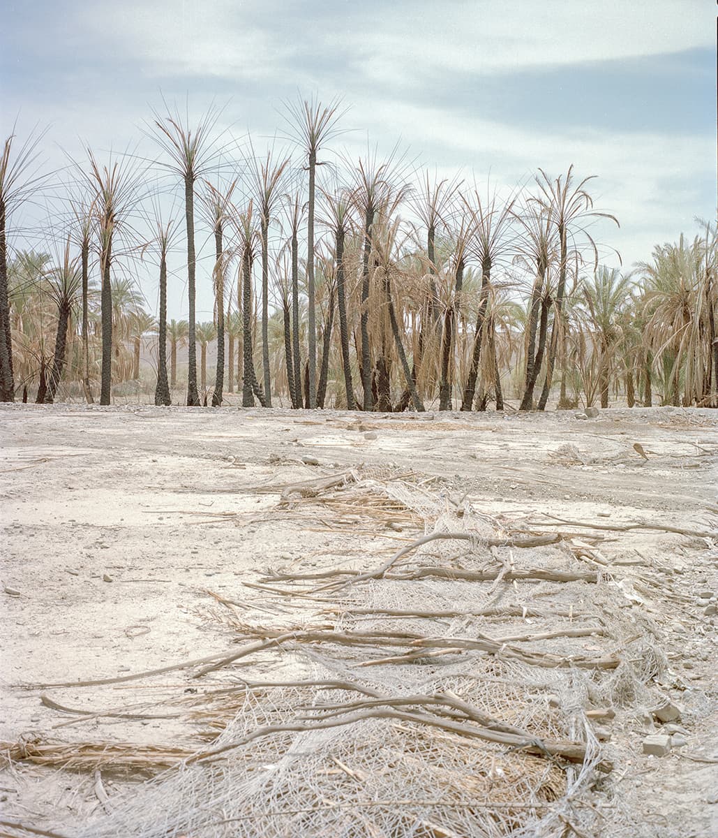 Untitled, Hashem Shakeri