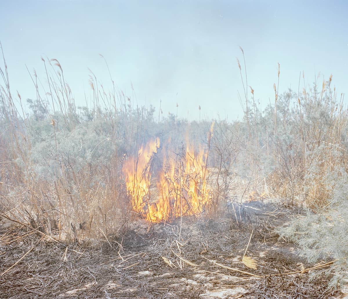 Untitled, Hashem Shakeri