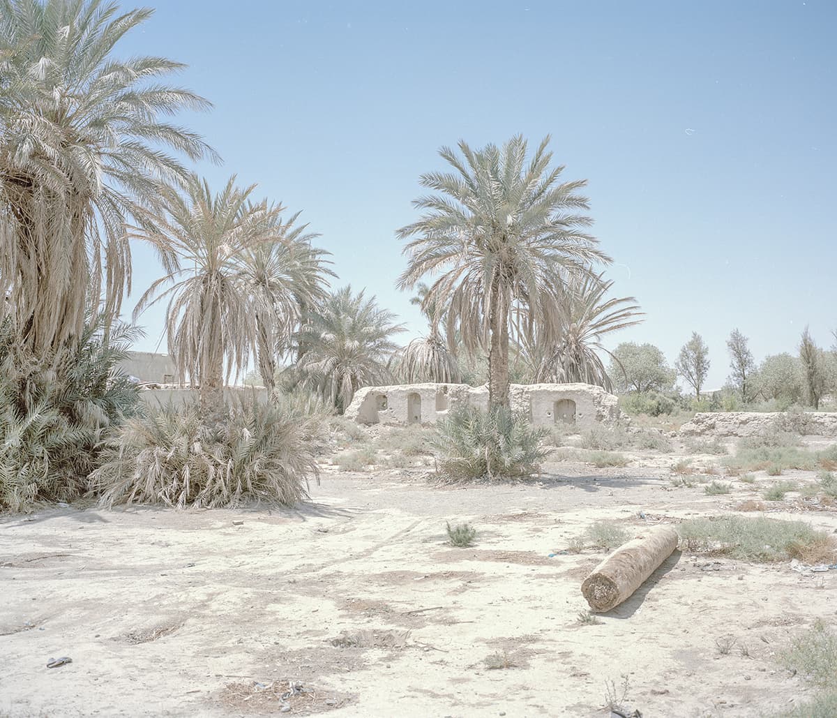 Untitled, Hashem Shakeri