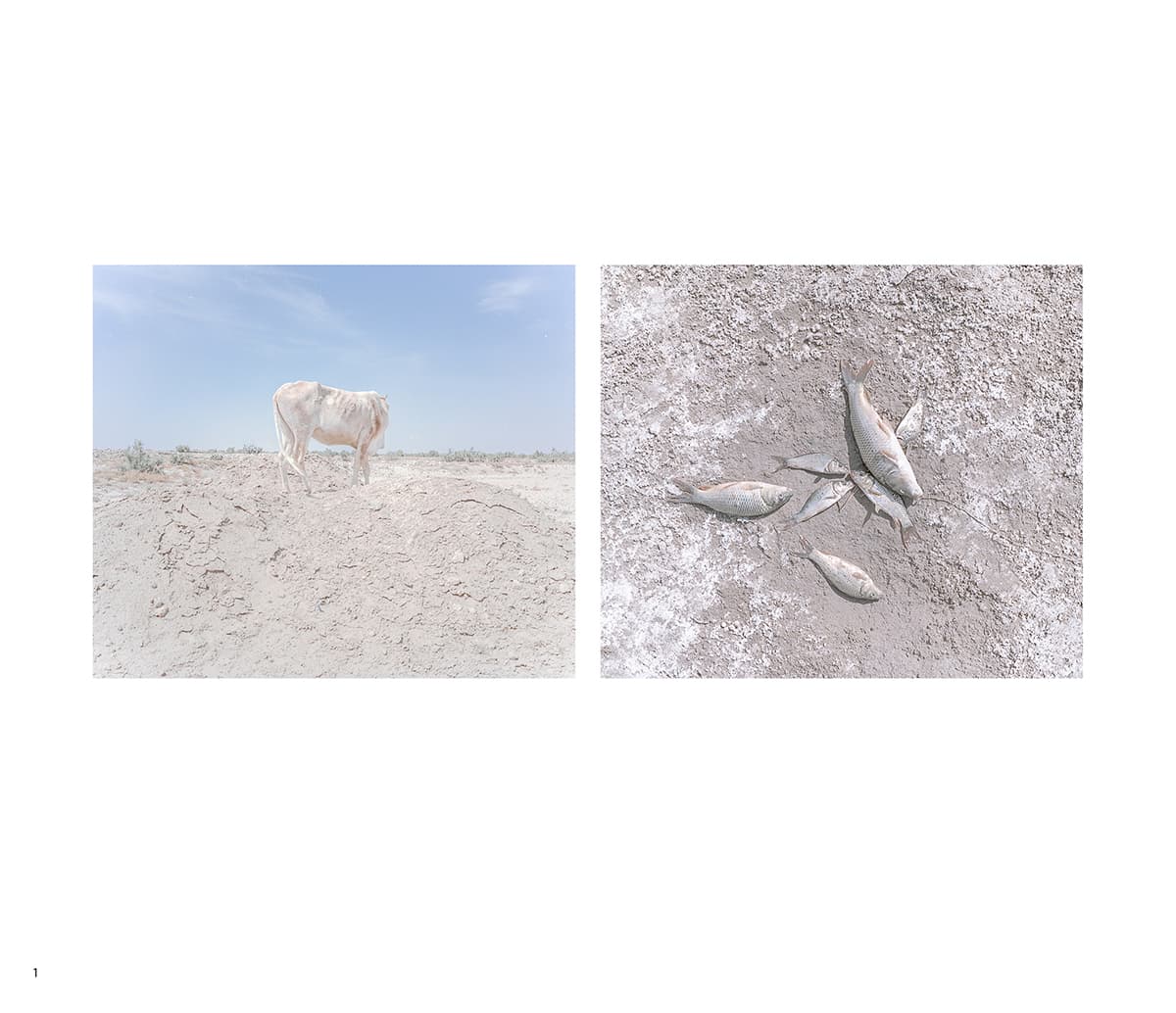 Untitled, Hashem Shakeri