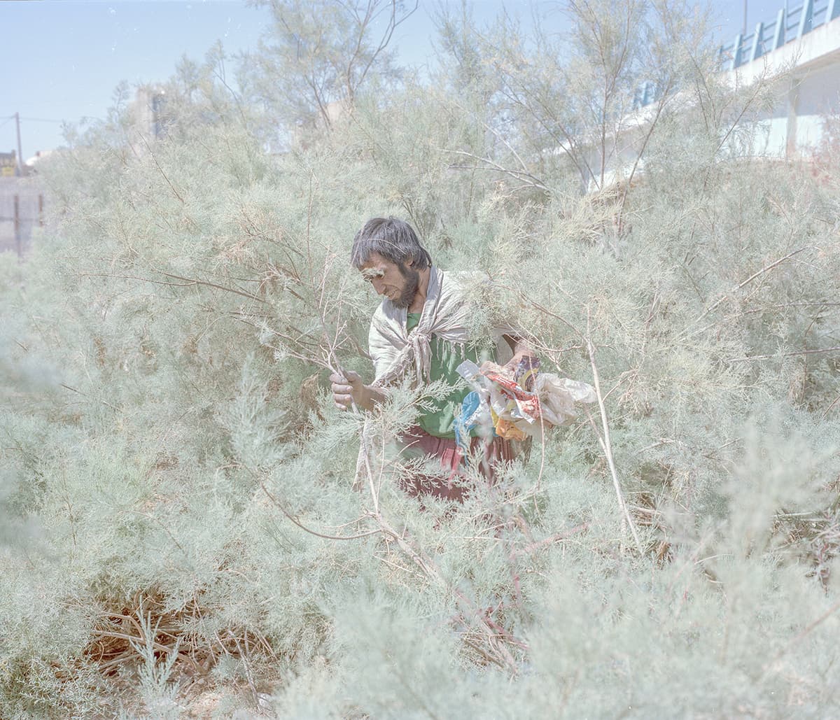 Untitled, Hashem Shakeri