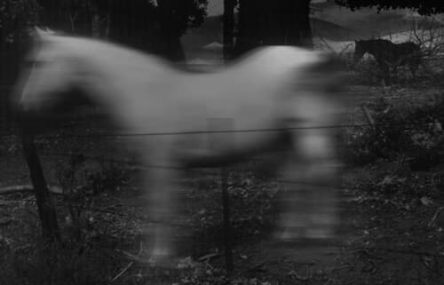 Untitled, Farshid Mesghali