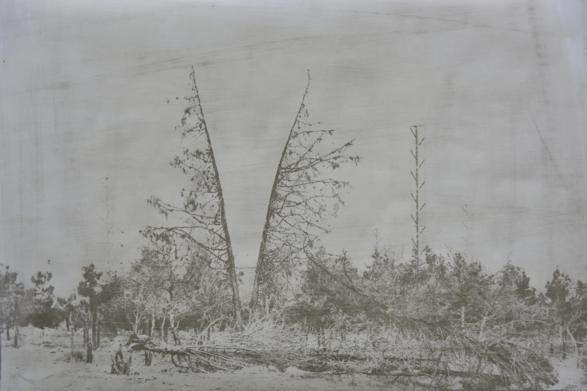Untitled, Babak Kazemi