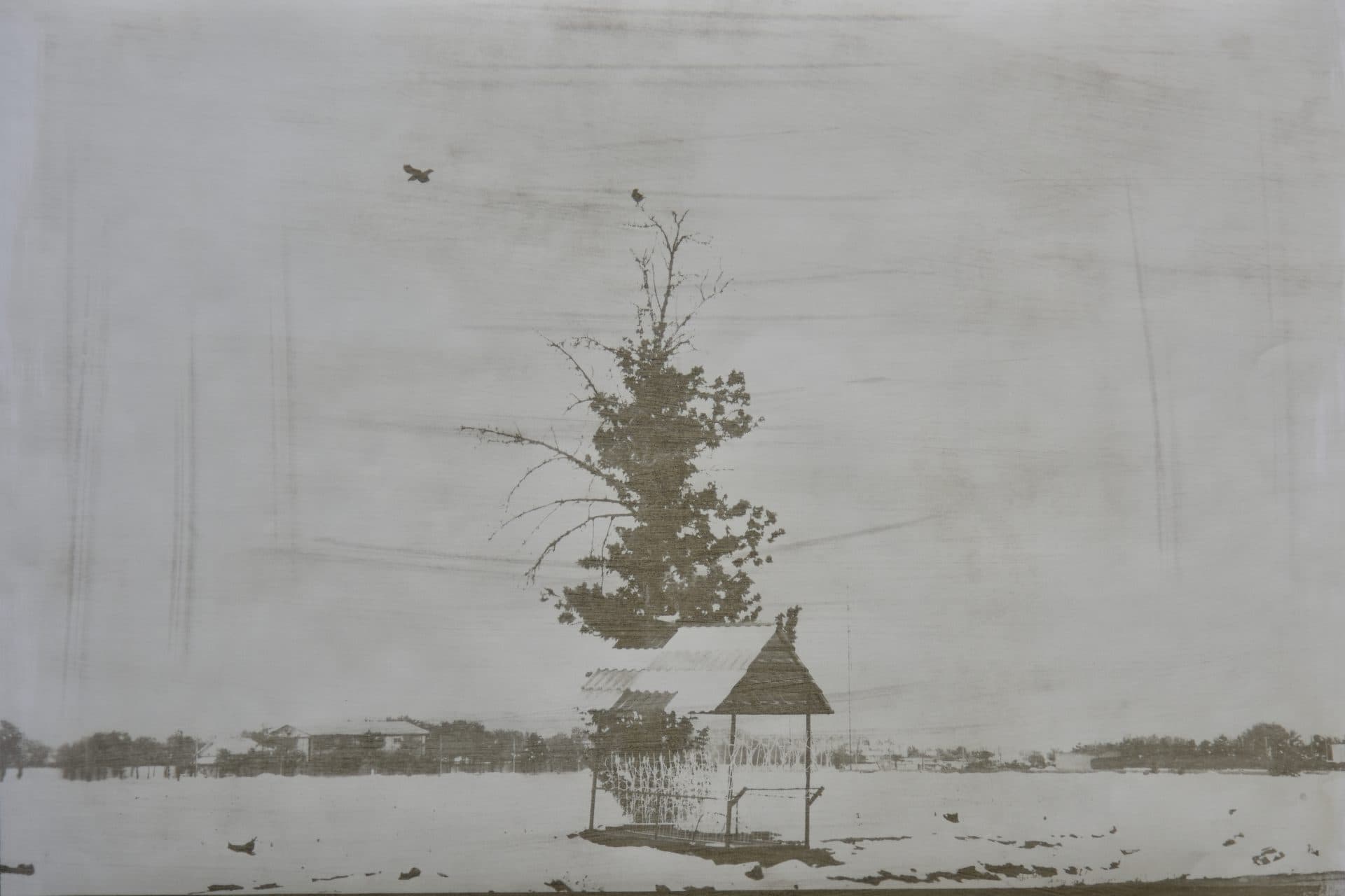 Untitled, Babak Kazemi