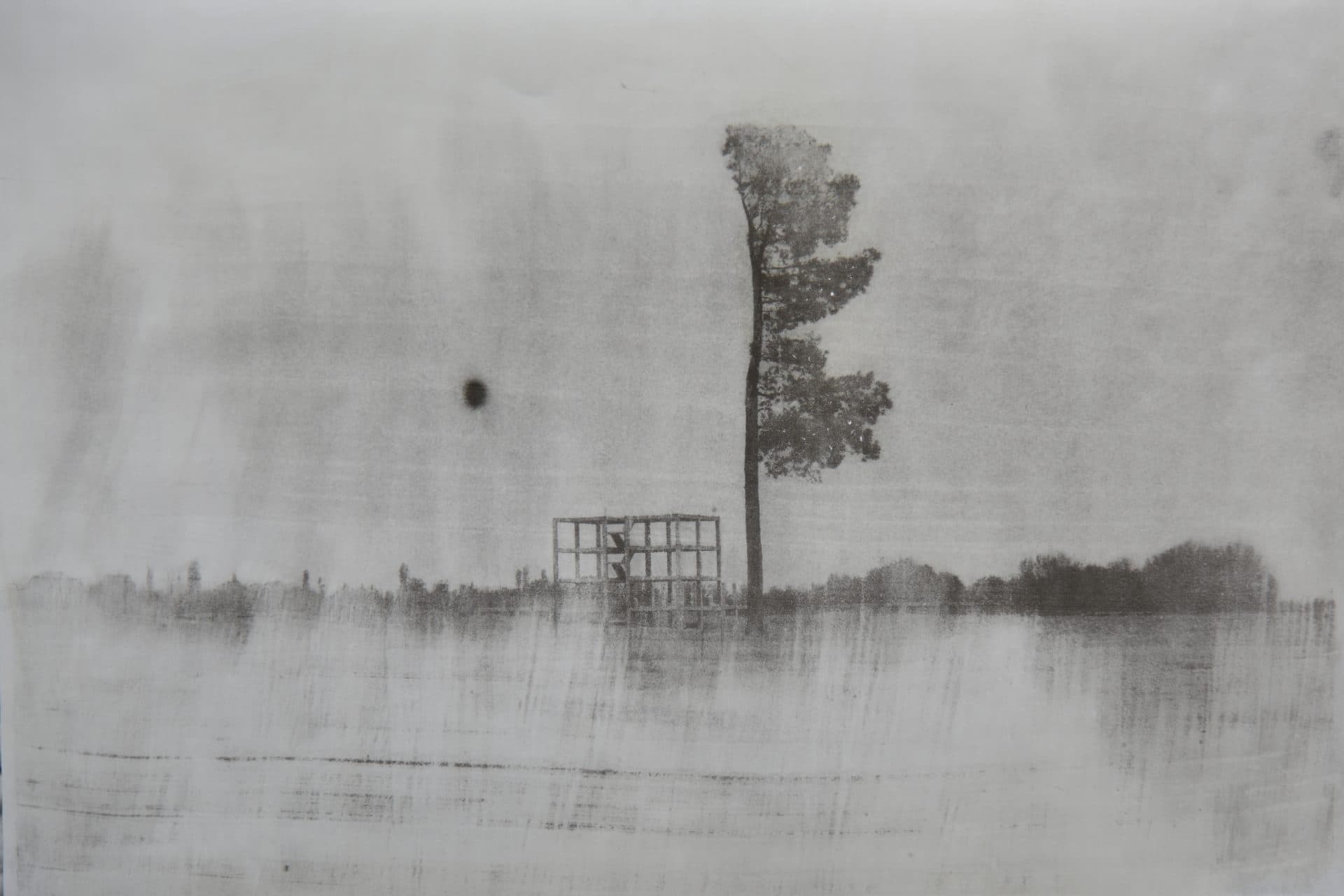 Untitled, Babak Kazemi