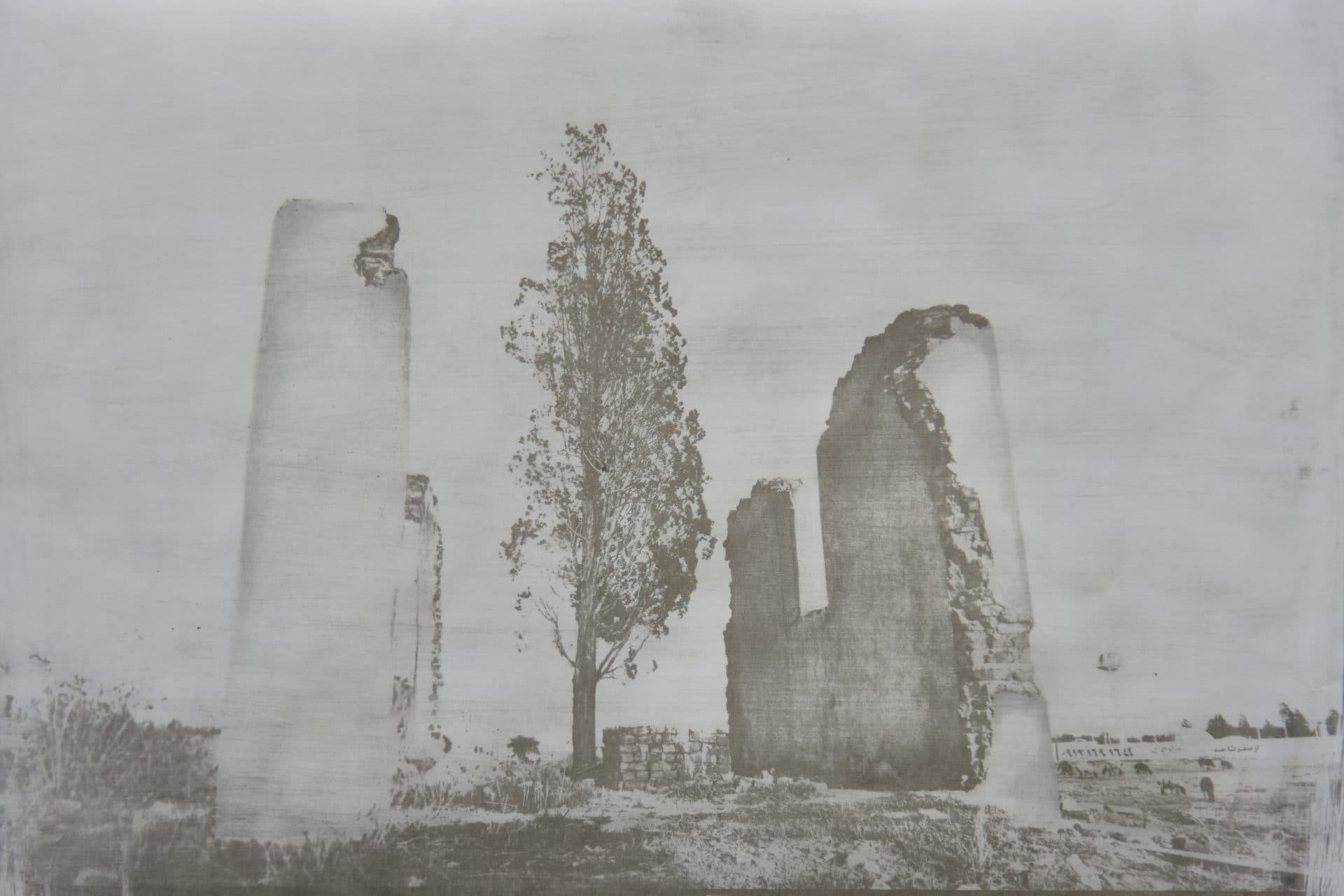 Untitled, Babak Kazemi