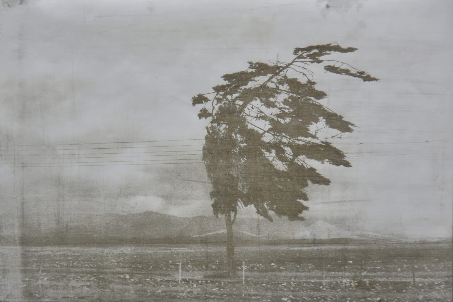 Untitled, Babak Kazemi