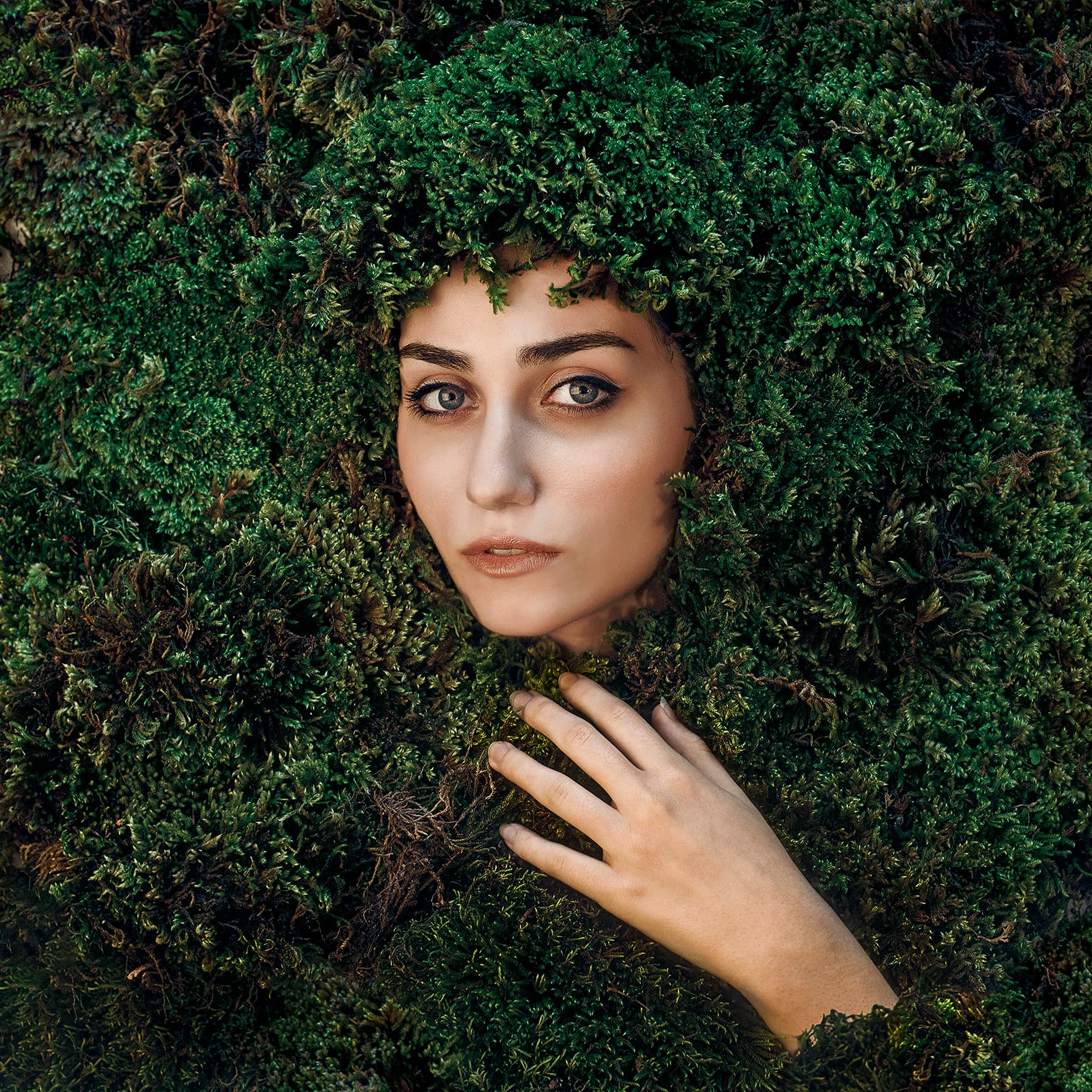 Untitled, Maryam Firuzi