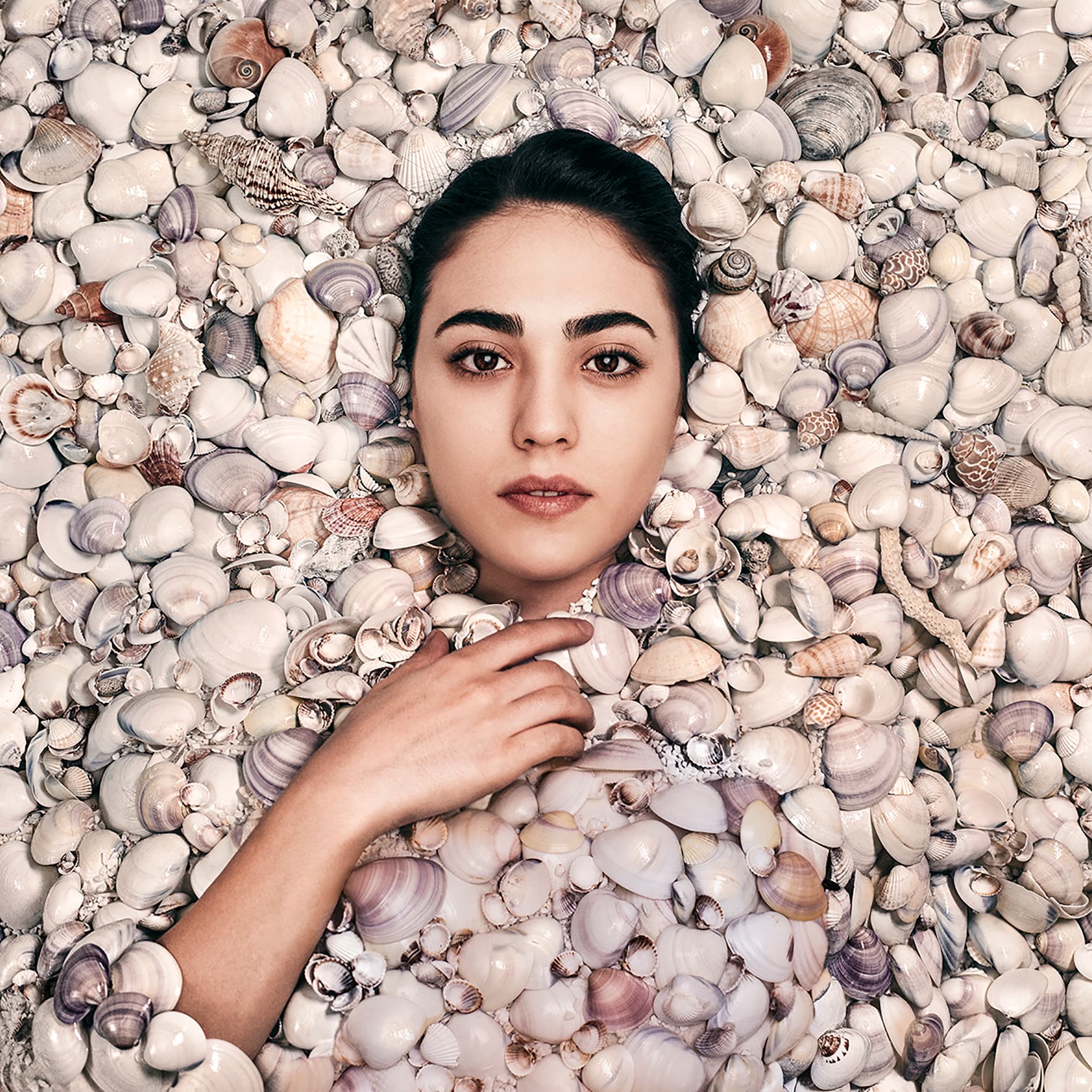 Untitled, Maryam Firuzi