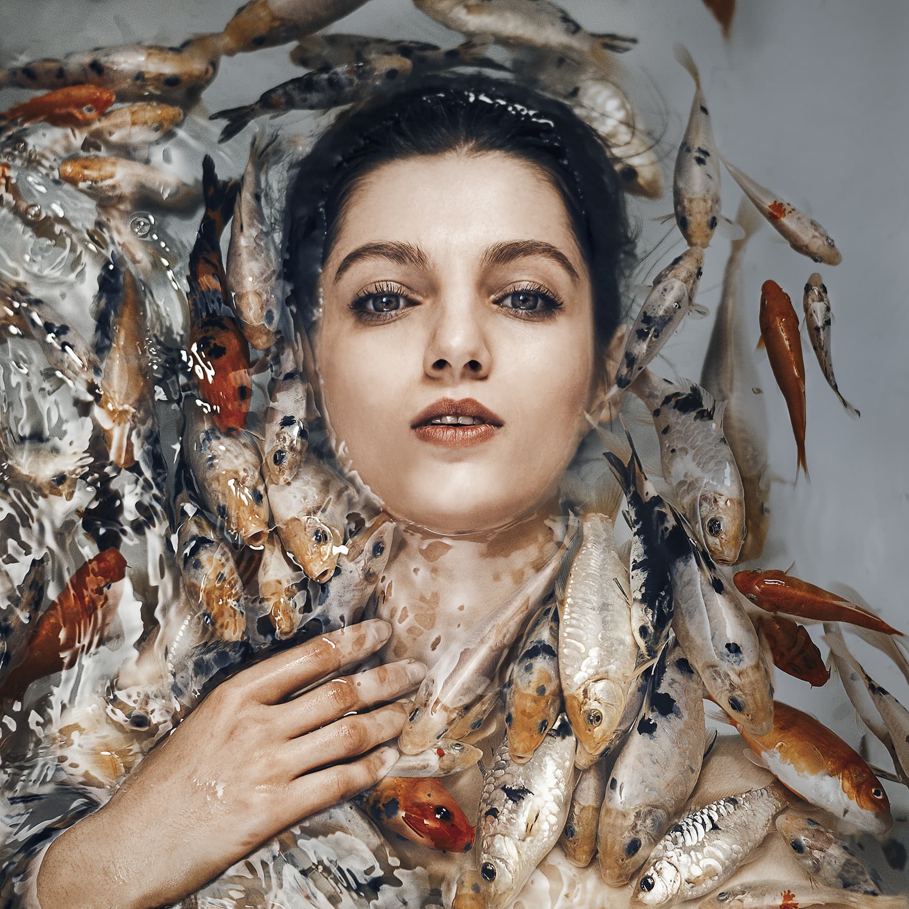 Untitled, Maryam Firuzi